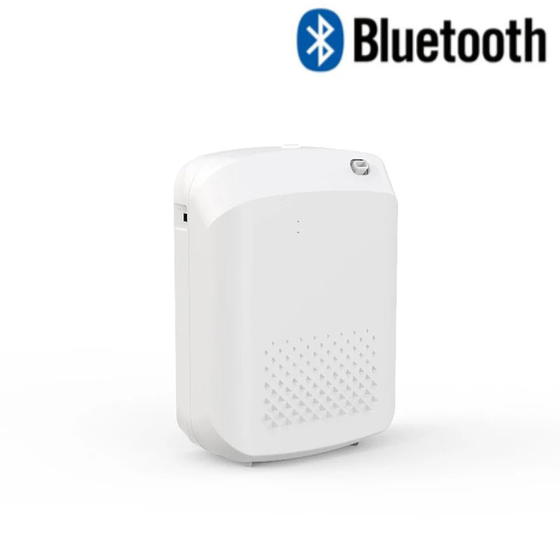 Smart Bluetooth Aroma Diffuser – 500m³ Hotel & Home